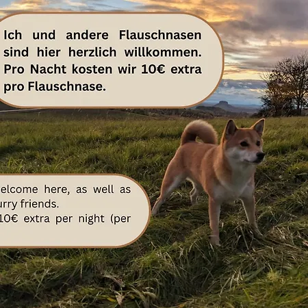 Apartman S2 - Urlaubsmagie - Am Wanderweg Mit Terrasse Sebnitz