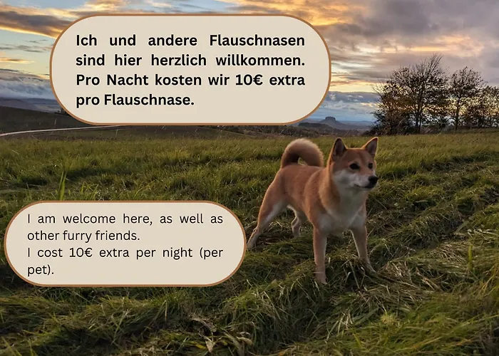 公寓 S2 - Urlaubsmagie - Am Wanderweg Mit Terrasse 赛博尼茨